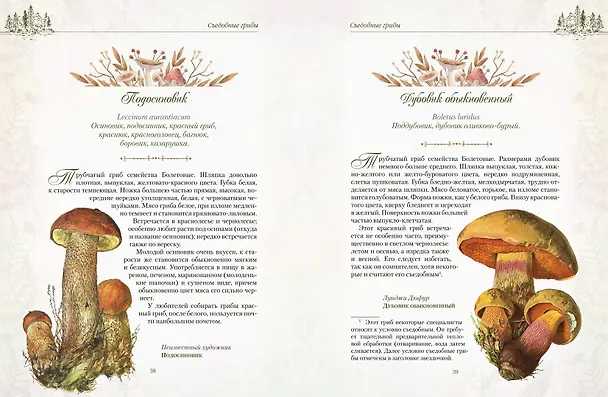 Книга Русский лес. Грибы и ягоды () — 7
