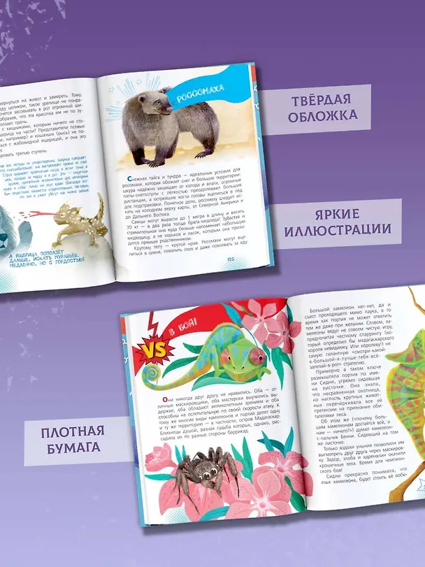 Книга Животные-супергерои (Андрей Чупин) — 8
