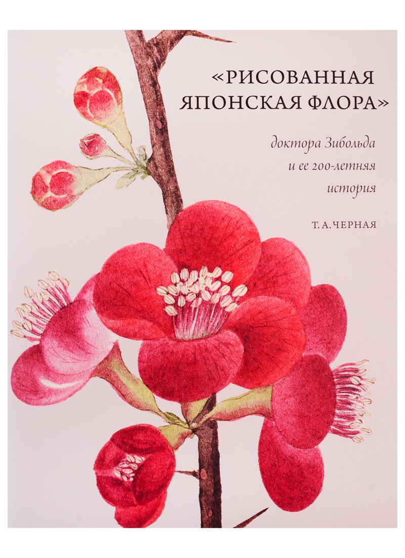

"Рисованная Японская Флора" доктора Зибольда и ее 200-летняя история