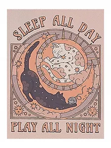 Картина по номерам "Спи днем, ночью играй", на подрамнике, 30х40 см