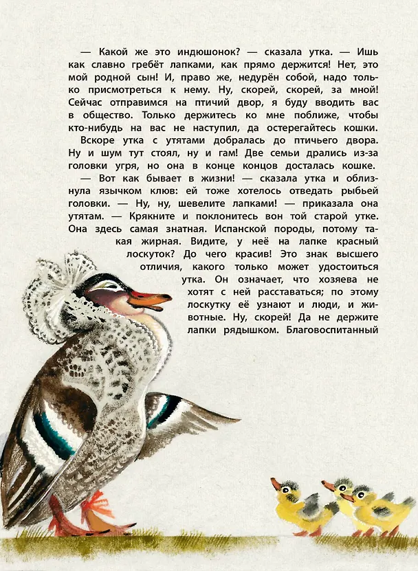 Книга Большая книга лучших сказок Г. Х. Андерсена (ил. Н. Гольц) (Ганс Христиан Андерсен) — 10