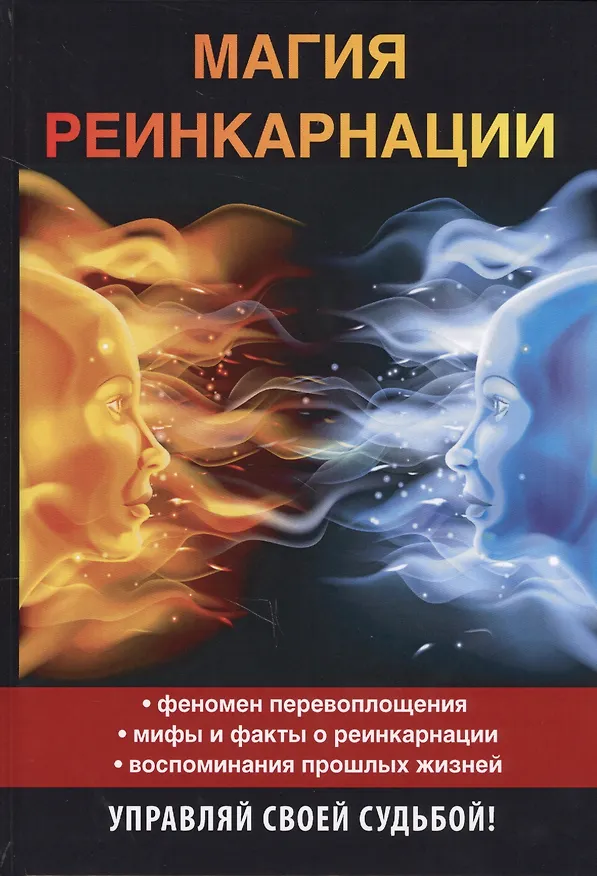 Книга Магия реинкарнации (Елена Вечерина) — 1