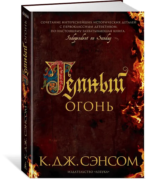 Книга Темный огонь (Кристофер Сэнсом) — 2
