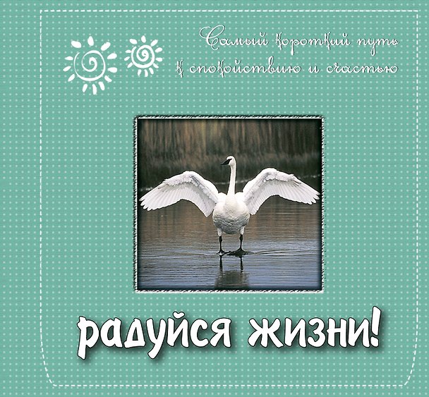 Радуйся жизни! Самый короткий путь к спокойствию и счастью. 2297902 — 1