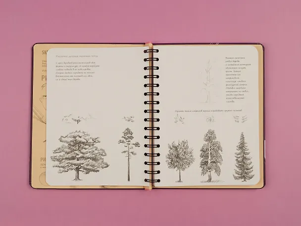 Книга «Sketchbook. Продвинутые техники», пурпурный () — 7