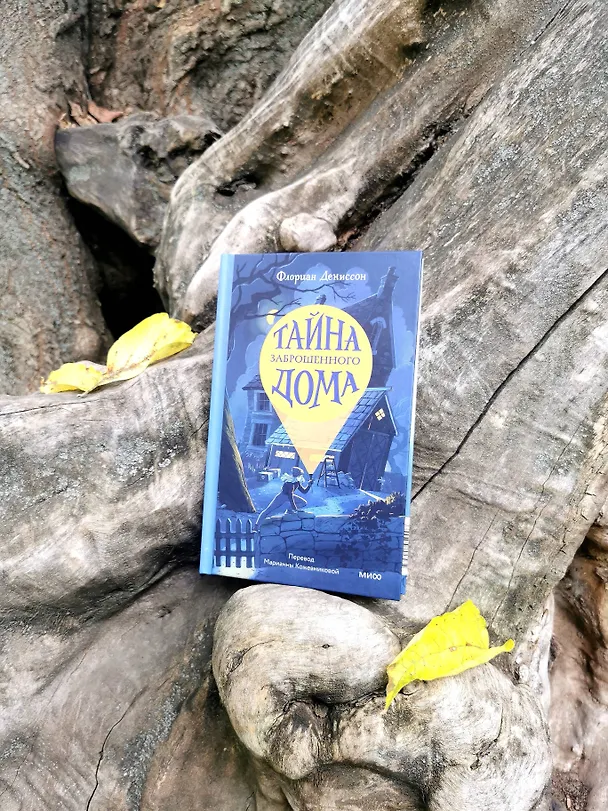 Книга Тайна заброшенного дома (Флориан Дениссон) — 11