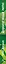 Дорогое наше лето — 3156267 — 3
