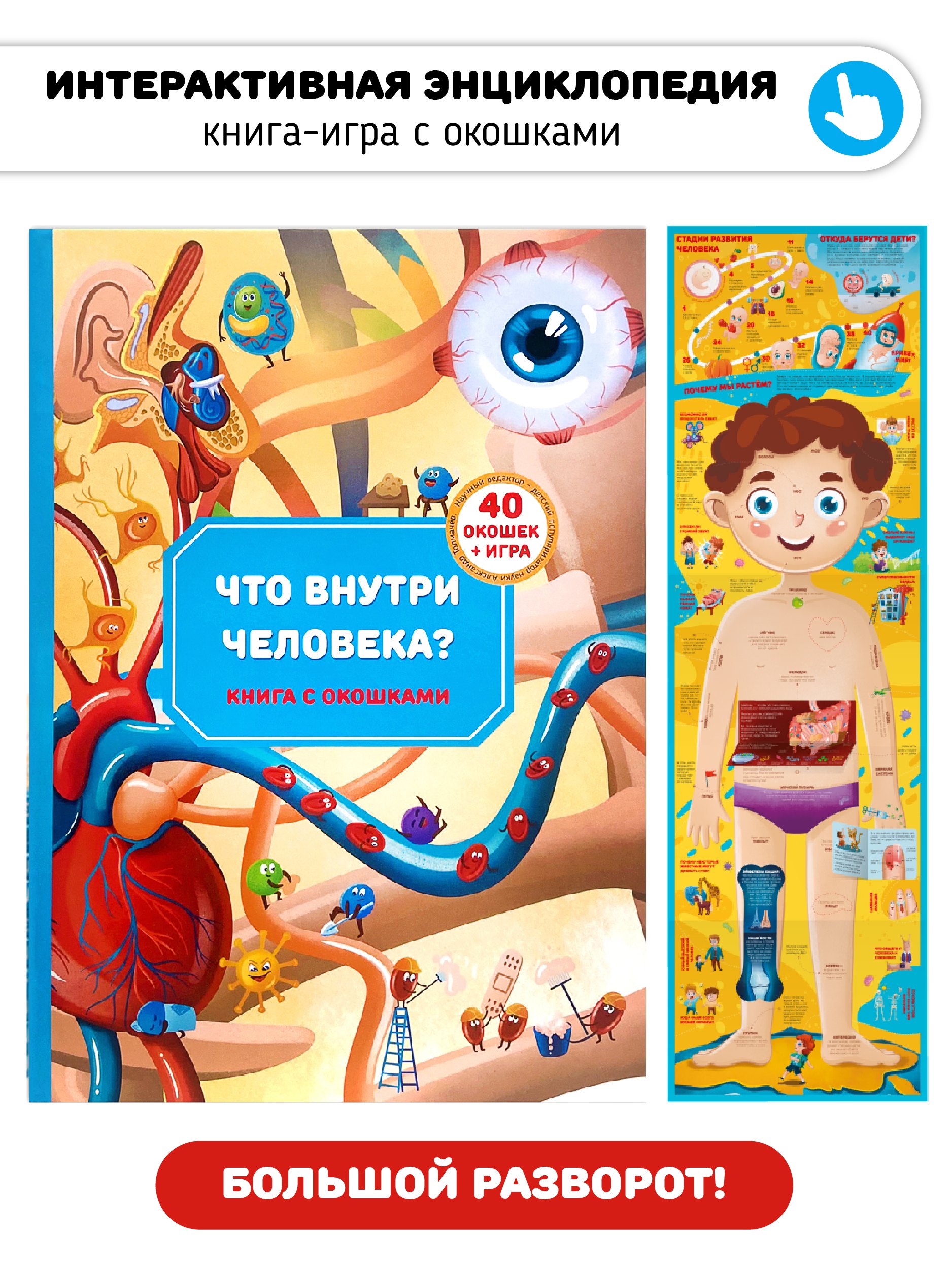 

Книга с окошками "Что внутри человека"