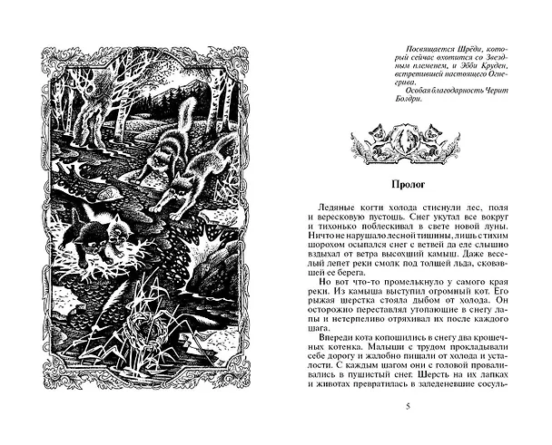 Книга Лес секретов. (Эрин Хантер) — 2
