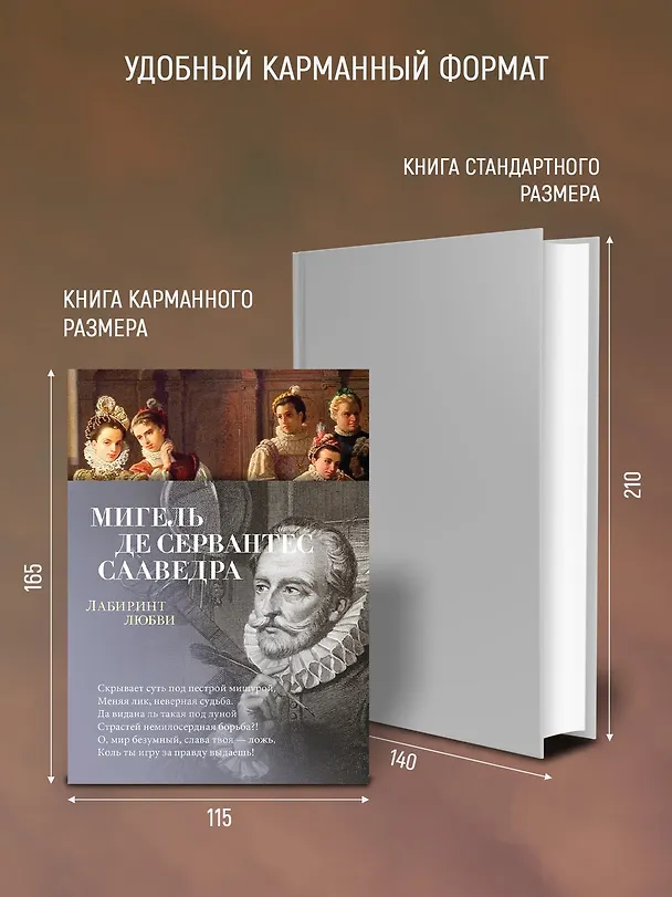 Книга Лабиринт любви (Мигель де Сервантес Сааведра) — 6
