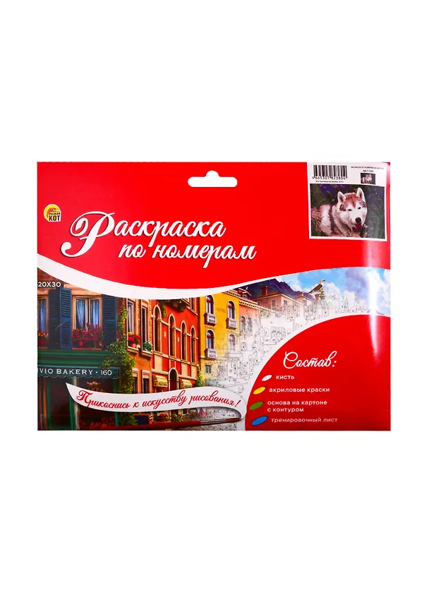 Набор ТМ Рыжий Кот Раскраска на картоне A4 Хаски в поле (Арт. Р-2380) 2808889 — 2
