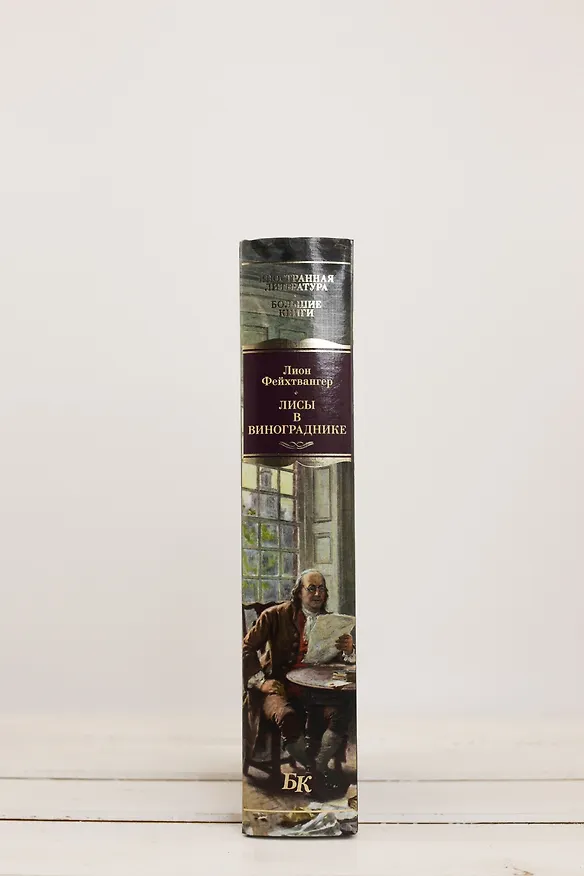 Книга Лисы в винограднике (Лион Фейхтвангер) — 12