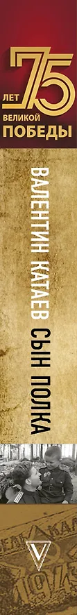 Книга Сын полка. С непридуманными историями о детях на войне (Валентин Катаев) — 3