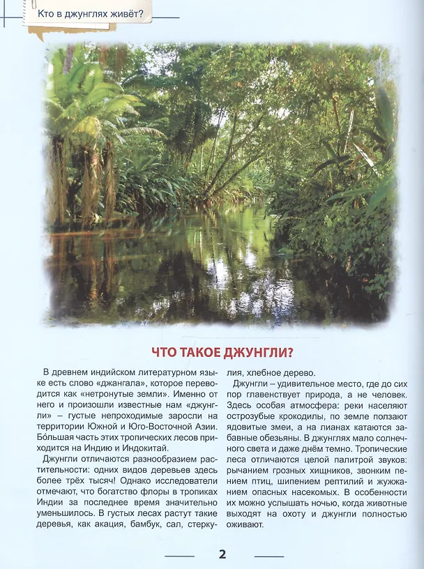 Книга Энциклопедия для детей кто в джунглях живет? () — 3