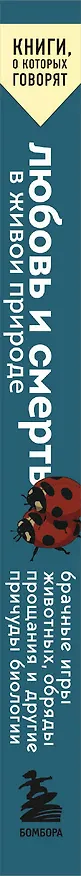Книга Любовь и смерть в живой природе. Брачные игры животных, обряды прощания и другие причуды биологии (Лео Грассе) — 4
