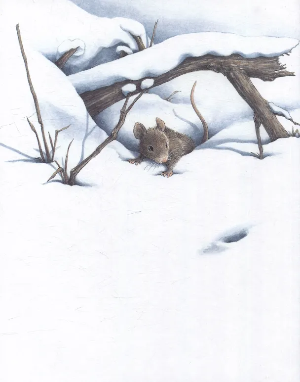 Книга Мы обязательно встретимся!: сказка (Юми Симоковара) — 3