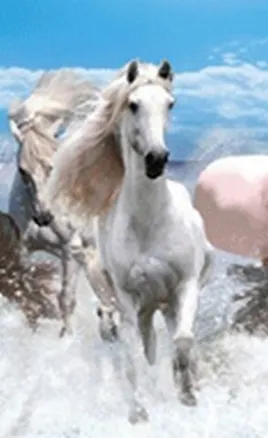 Закладка 3D 90 (Мир открытий) 2288131