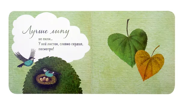 Книга Где твое деревце? (Ася Петрова) — 3