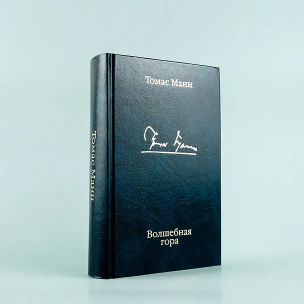 Книга Волшебная гора (Томас Манн) — 7