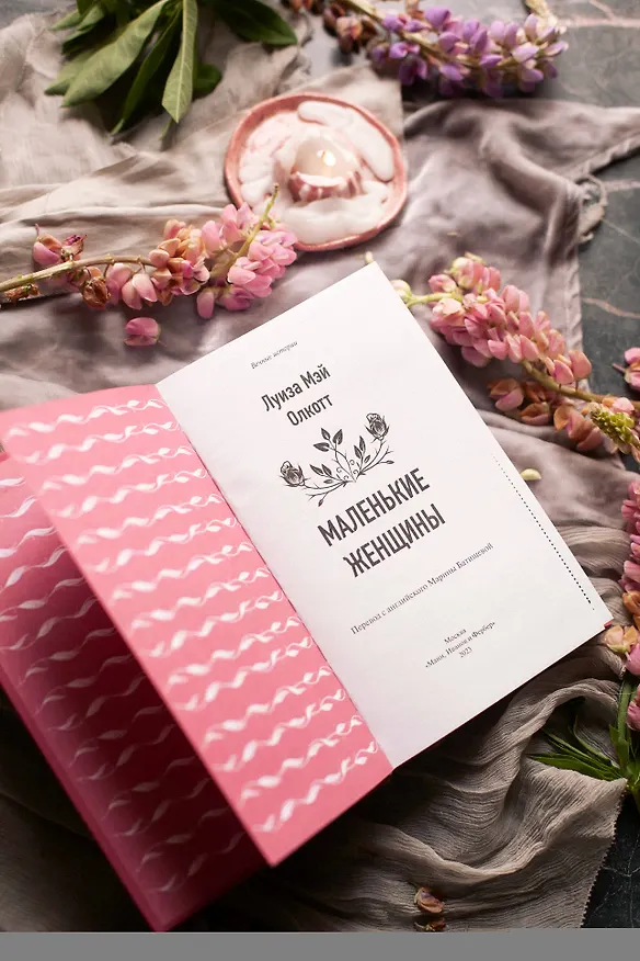 Книга Маленькие женщины (Луиза Мэй Олкотт) — 14