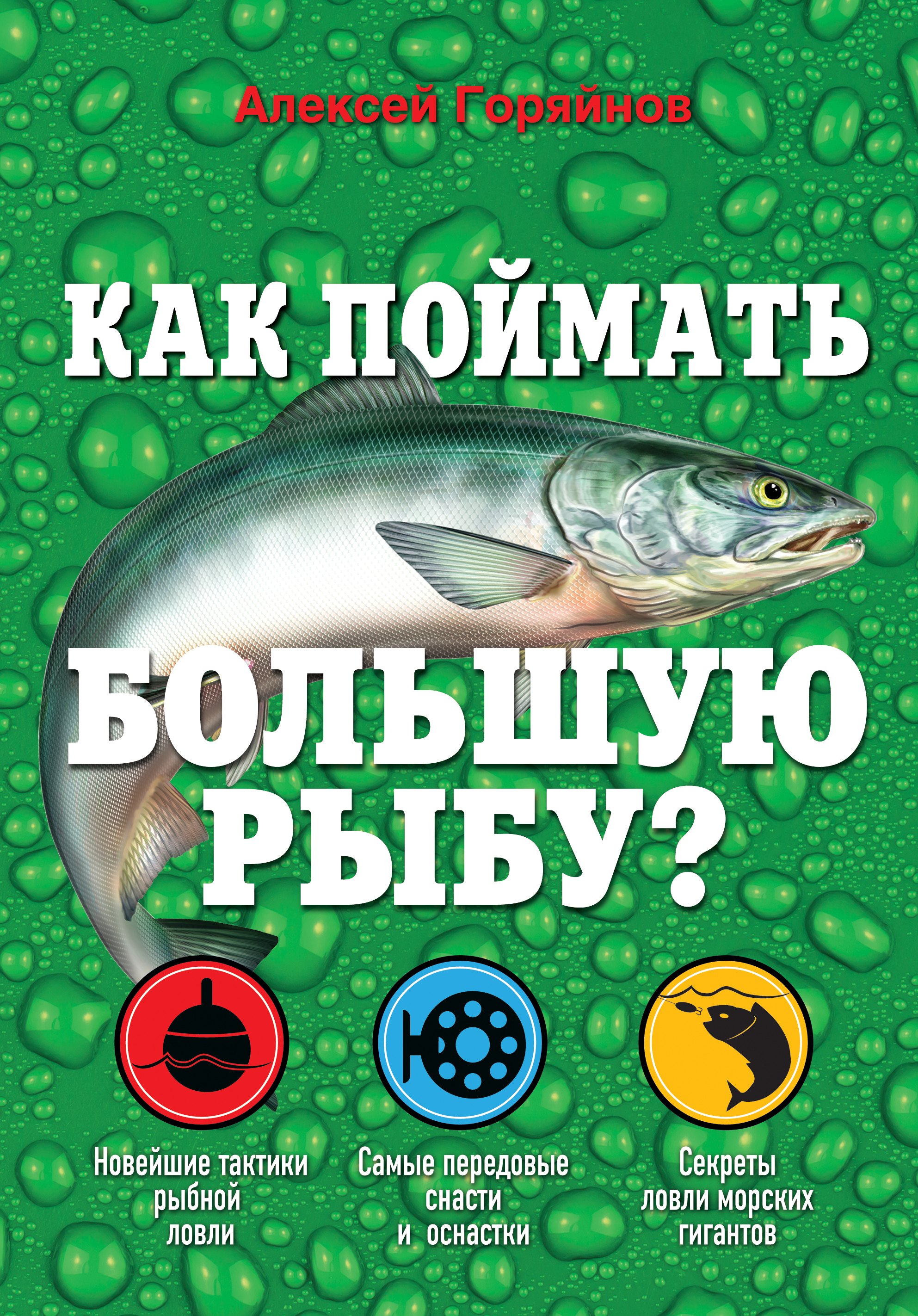

Как поймать большую рыбу