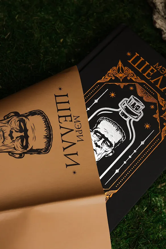 Книга Франкенштейн, или современный Прометей (Мэри Шелли) — 12