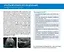 Лимфатические узлы в ультразвуковой диагностике — 3112653 — 3