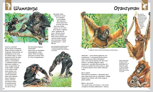 Книга Животные (Лоранс Букобза, Анник Мулинье) — 6