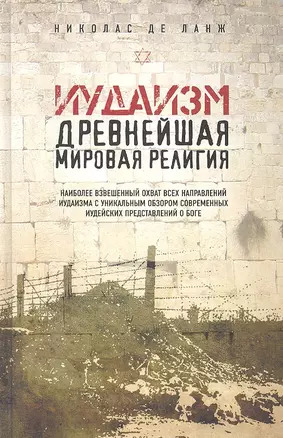 Иудаизм: Древнейшая мировая религия — 2318754 — 1