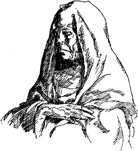Книга Кандид или оптимизм (Франсуа-Мари Аруэ Вольтер) — 2