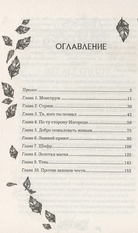 Книга Анима. Золотой стриж (Екатерина Соболь) — 2