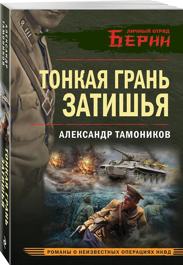 Книга Тонкая грань затишья (Александр Тамоников) — 5