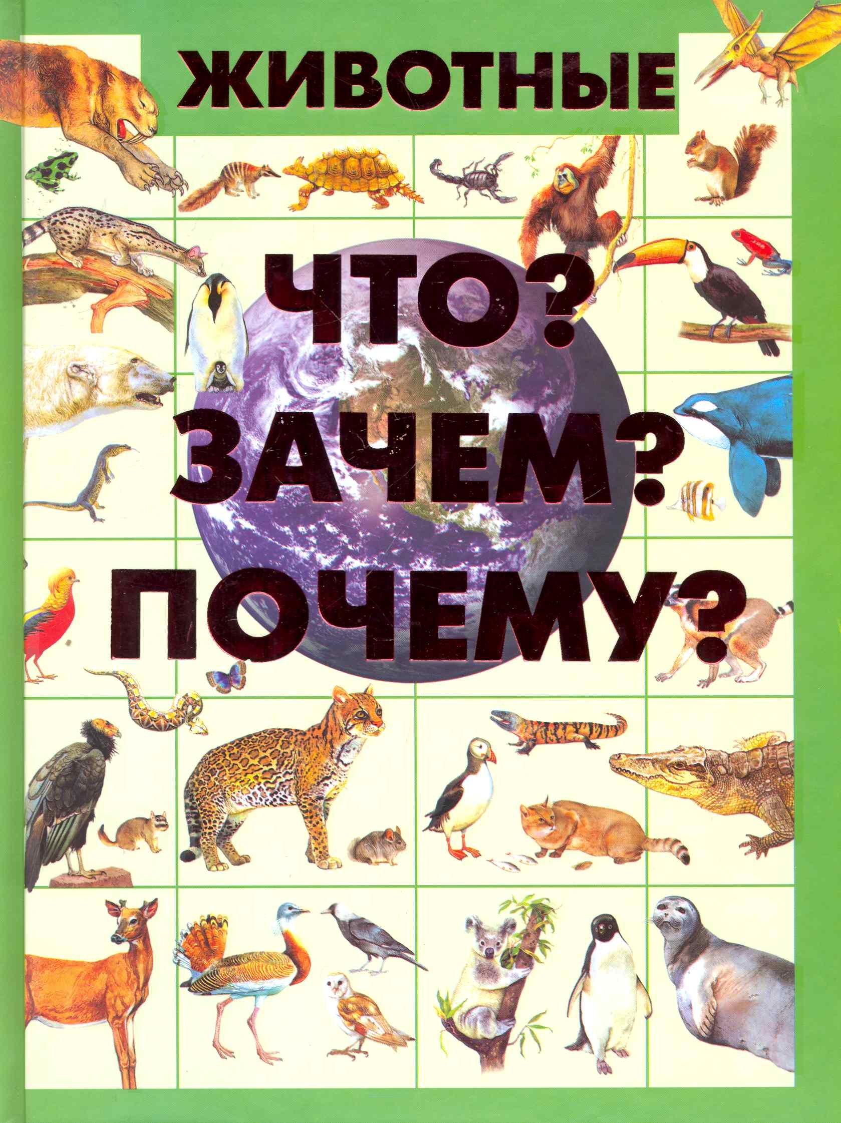 

Животные. Что Зачем Почему