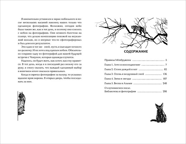 Книга Пока ты видишь меня (Пак Хён Джу) — 13