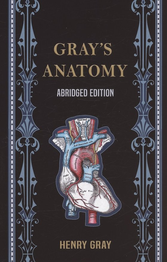 Grays Anatomy (Abridged Edition) 356104 β 1