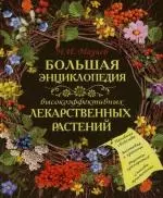 Большая энциклопедия высокоэффективных лекарственных растений — 2136733 — 1