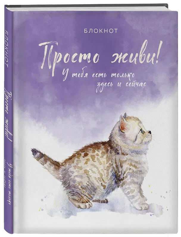 Соберись и не ной. Блокнот для сохранения себя в непростые времена 2965878 — 2