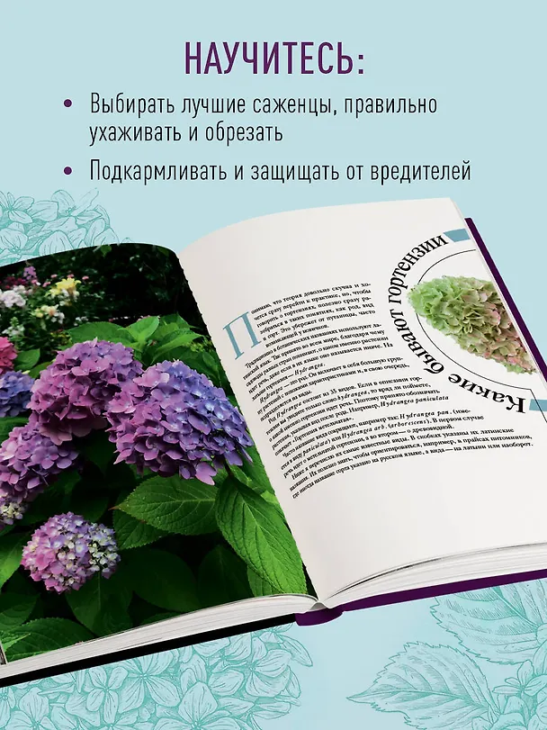 Книга Гортензии в саду. Практический курс (Е. Малышева) — 8