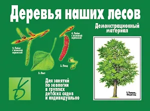 Деревья наших лесов. Демонстрационный материал для занятий по экологии в группах детских садов и индивидуально