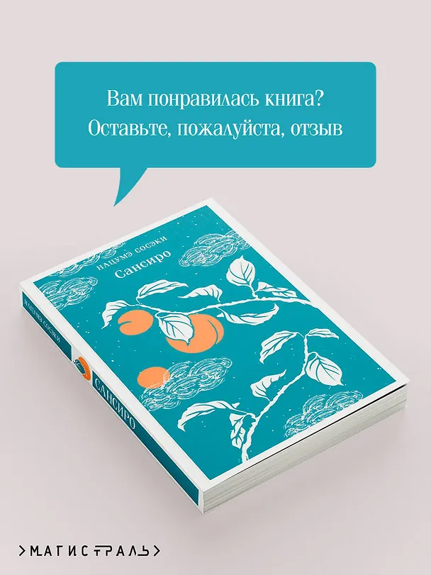Книга Сансиро (Сосэки Нацумэ) — 12