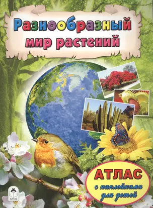 Разнообразный мир растений — 2551598 — 1