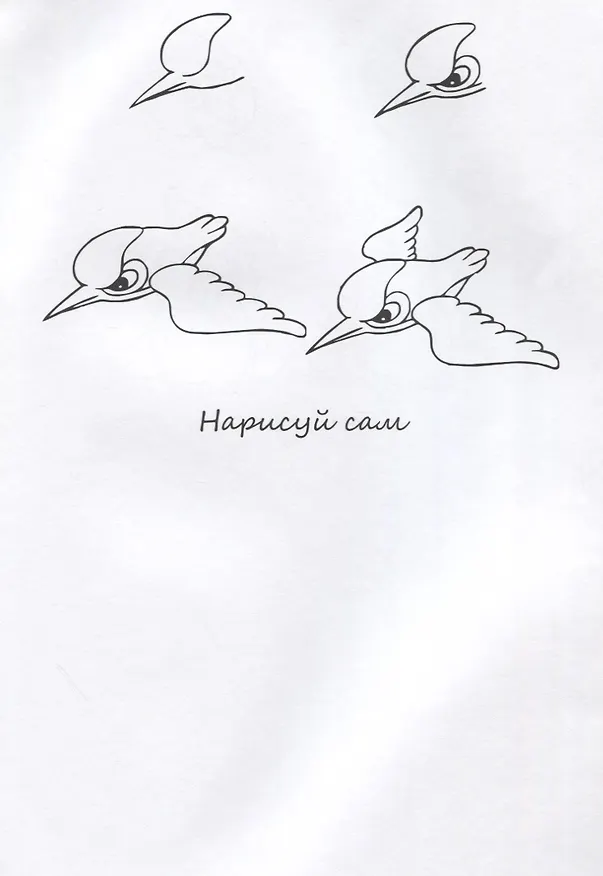 Книга Птицы НС-5-4 () — 2