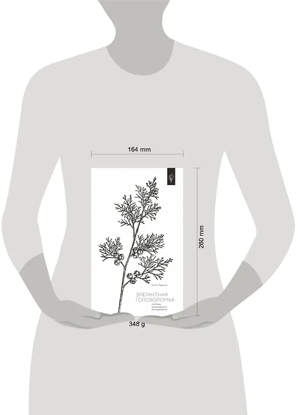 Книга Элегантная головоломка. Системы инженерного менеджмента (Уилл Ларсон) — 8