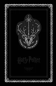 Блокнот «Гарри Поттер. Экспекто патронум!», 192 страницы, А5
