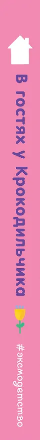 Книга В гостях у Крокодильчика (Анна Гудзори) — 4