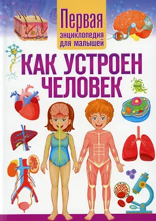 Книга Как устроен человек. Первая энциклопедия для малышей ()