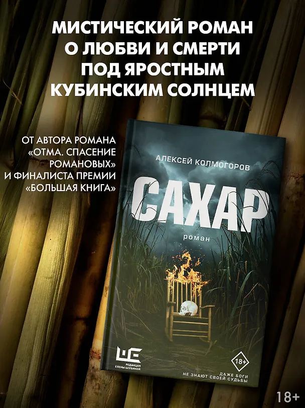 Книга Сахар (Алексей Колмогоров) — 5