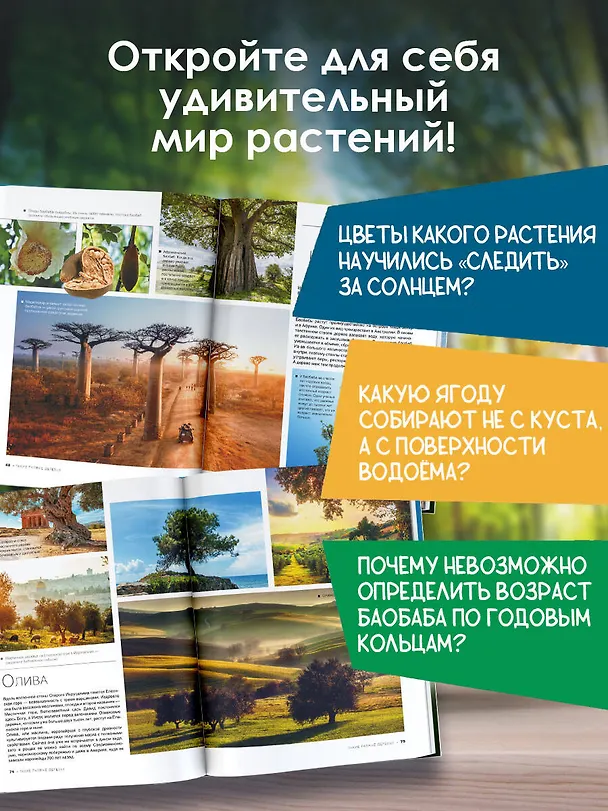 Книга Большая книга о растениях. 1001 фотография (Анна Спектор, Дмитрий Медведев) — 5