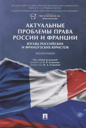 Актуальные проблемы права России и Франции: взгляд российских и французских юристов. Монография — 2908507 — 1