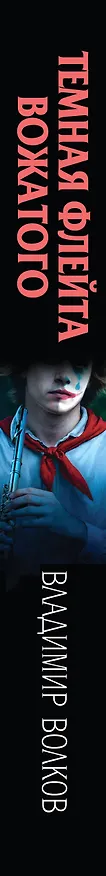 Книга Темная флейта вожатого (Владимир Волков) — 4